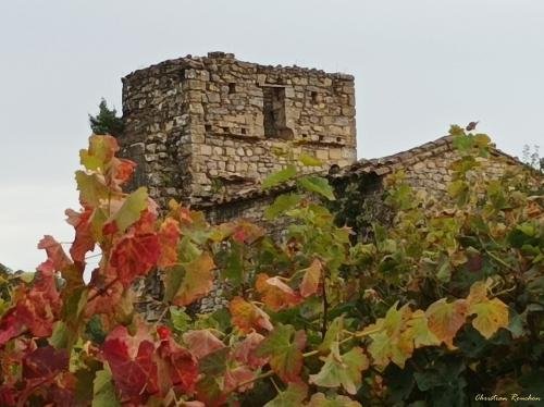 243424583_10227943966323861_9036917436185015272_n-1